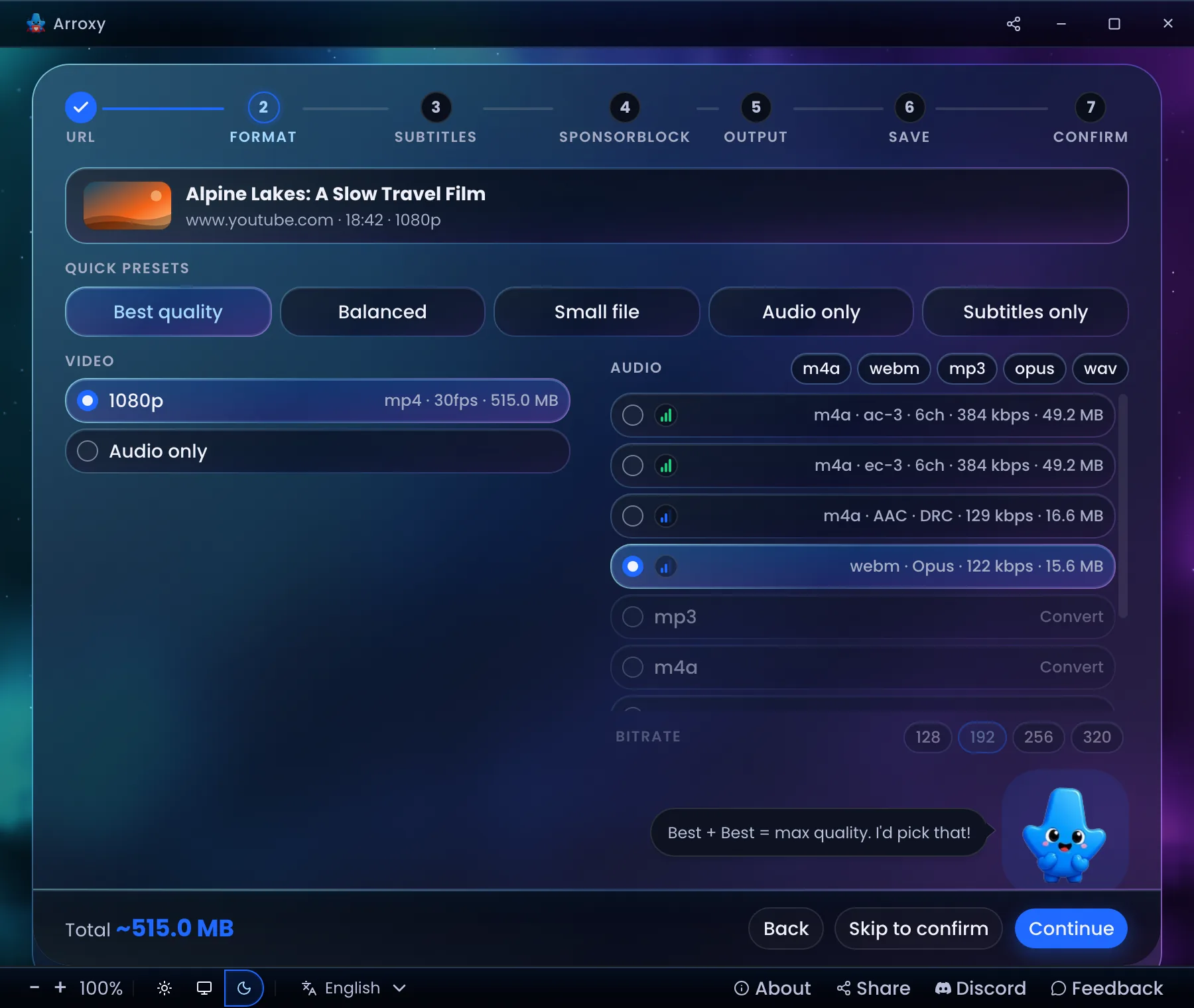Surround / Dolby audio — 5.1 and Dolby tracks detected and preserved